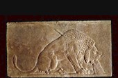 019-Умирающий лев-каменная панель из дворца Ашшурбанипала